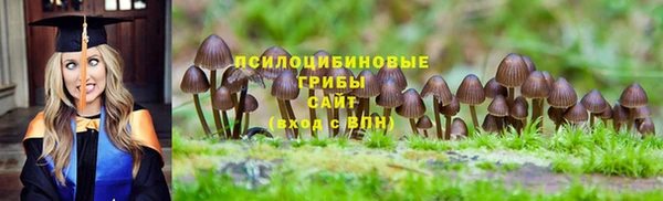 apvp Беломорск