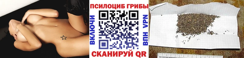 купить  сайты  Павловск  Галлюциногенные грибы Cubensis 